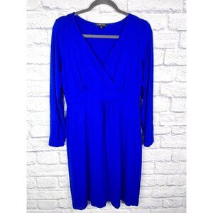 EILEEN FISHER Women's Blue Long Sleeve V-Neck Jersey Dress Small